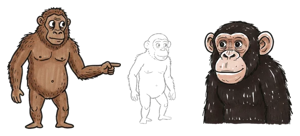 Hand-drawn illustration from “Did Humans Evolve From Monkeys?”
