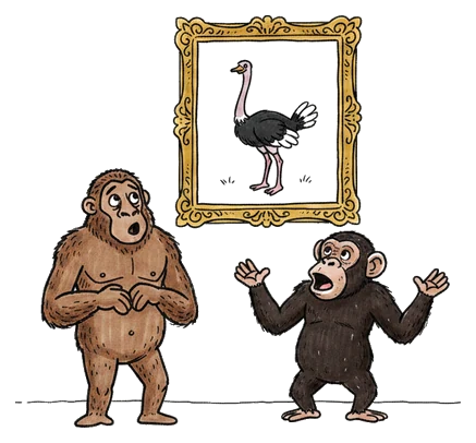 Hand-drawn illustration from “Did Humans Evolve From Monkeys?”