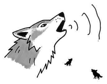 Hand-drawn illustration from “Do Wolves Howl at the Moon?”