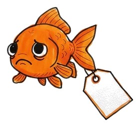 Hand-drawn illustration from “Goldfish Have a Three-Second Memory”