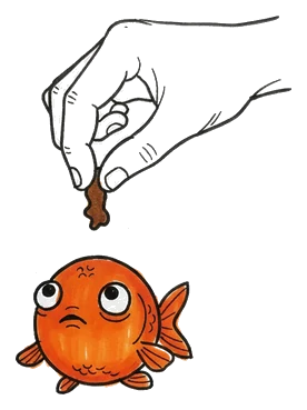 Hand-drawn illustration from “Goldfish Have a Three-Second Memory”