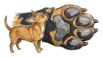 Hand-drawn illustration for the “Evidence 2: The Size Problem” section of “The 7-Year Dog Myth Is on Trial”