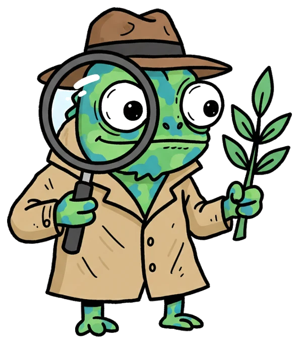 Hand-drawn illustration from “Why Chameleons Change Color (It's Not for Camouflage)”