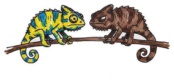 Hand-drawn illustration from “Why Chameleons Change Color (It's Not for Camouflage)”